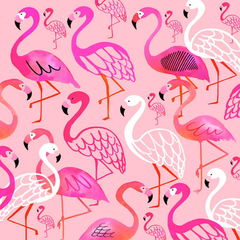 summer_flamingos_01